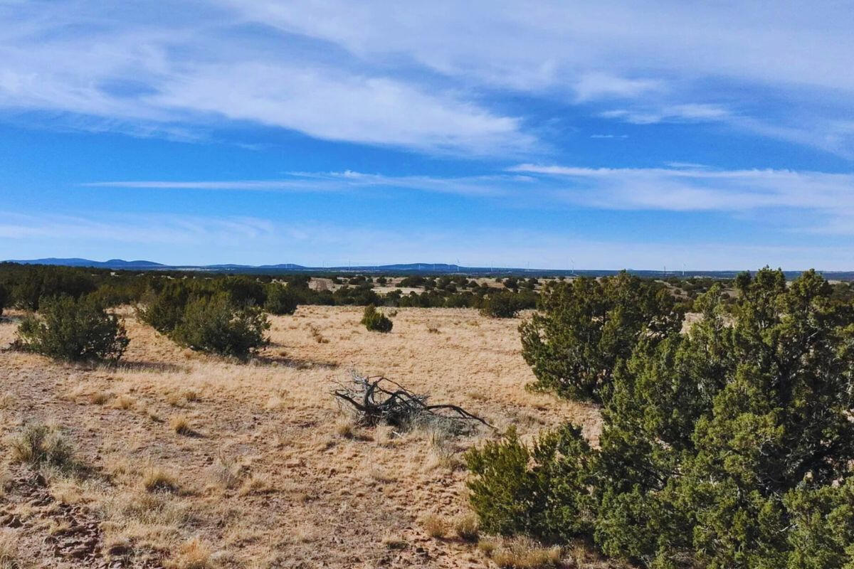 Deep 1 Lots of Trees - 910 S WEDGEWOOD DR WILLIAMS, AZ 86046