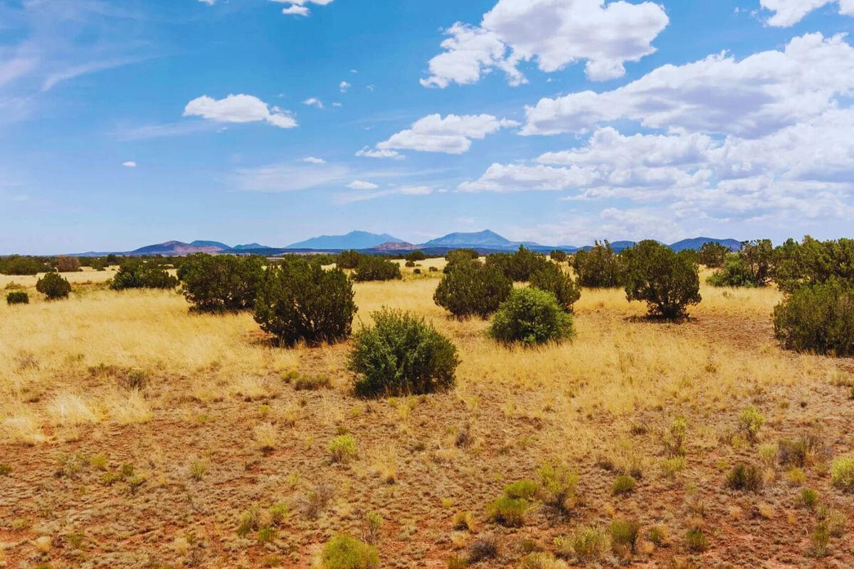 Deep 1 Lots of Trees - 910 S WEDGEWOOD DR WILLIAMS, AZ 86046