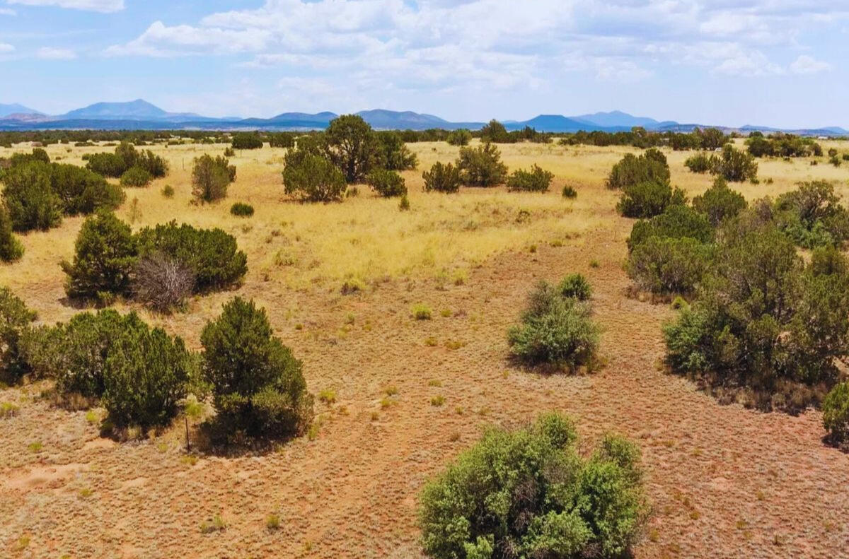 Deep 1 Lots of Trees - 910 S WEDGEWOOD DR WILLIAMS, AZ 86046