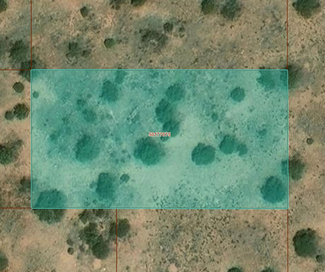 Deep 1 Lots of Trees - 910 S WEDGEWOOD DR WILLIAMS, AZ 86046