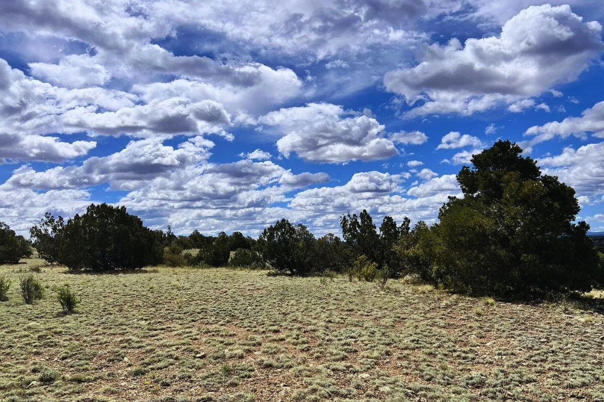 Deep 1 Lots of Trees - 910 S WEDGEWOOD DR WILLIAMS, AZ 86046
