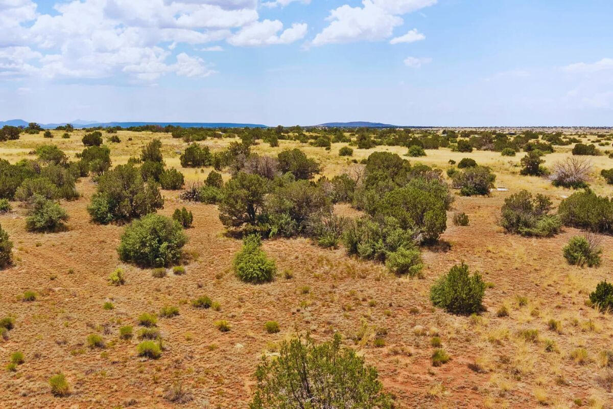 Deep 1 Lots of Trees - 910 S WEDGEWOOD DR WILLIAMS, AZ 86046
