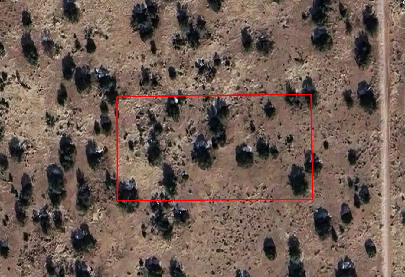 Deep 1 Lots of Trees - 910 S WEDGEWOOD DR WILLIAMS, AZ 86046