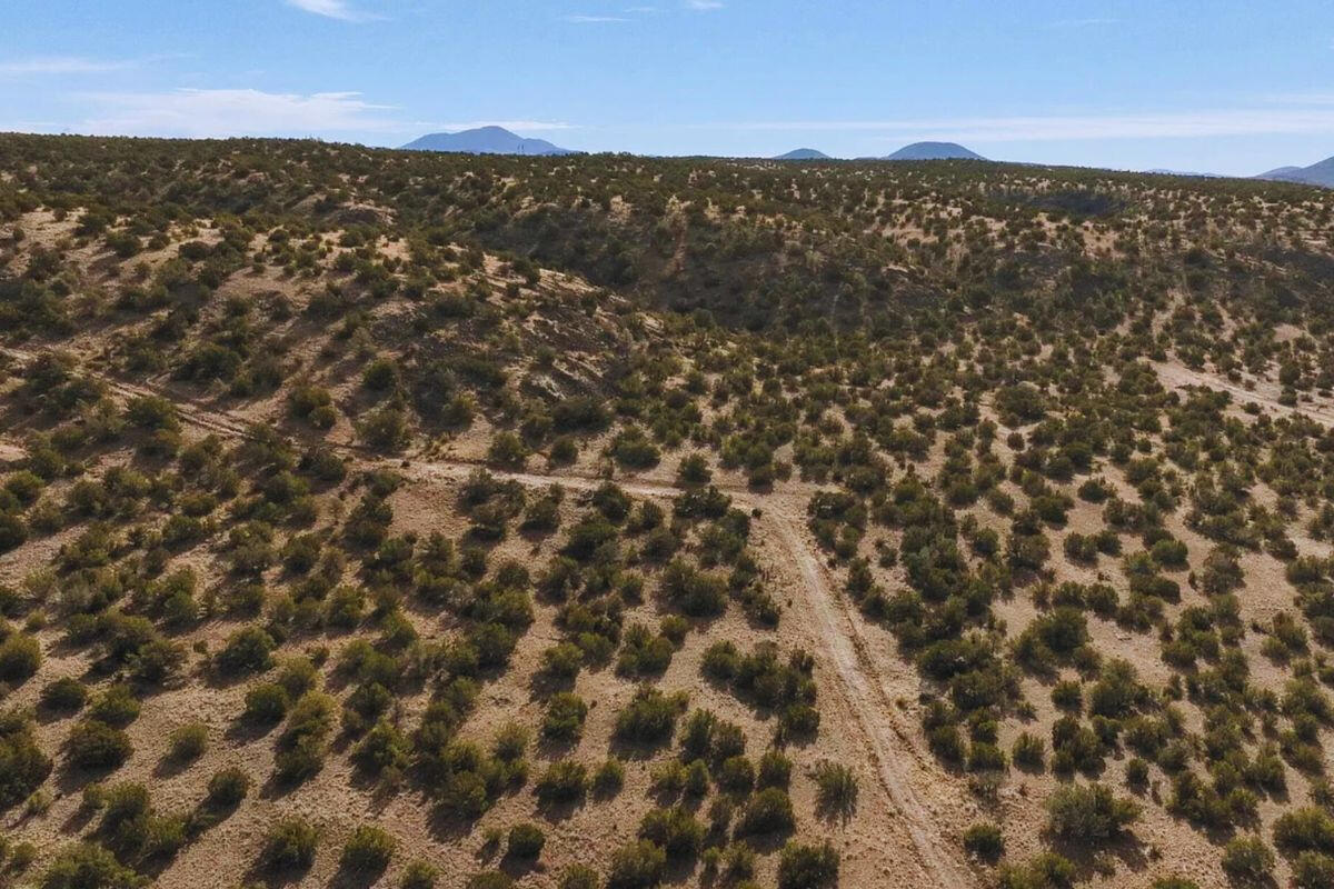Deep 1 Lots of Trees - 910 S WEDGEWOOD DR WILLIAMS, AZ 86046